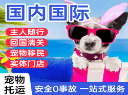 九江庐山航空物流国际宠物托运 【国
